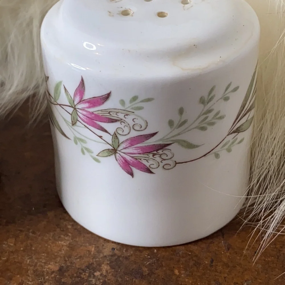 Wedgewood Hotelware White/Pink Flowers Salt And Pepper Shakers